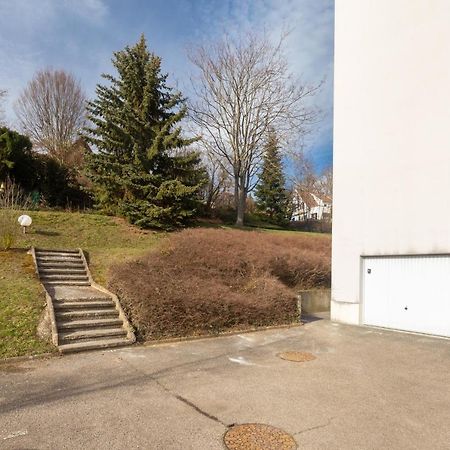 Travel Homes - Le Rebberg, Superbe Vue A Mulhouse Exterior photo